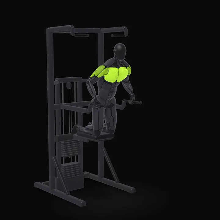 3D animation of the Machine Assisted Dip