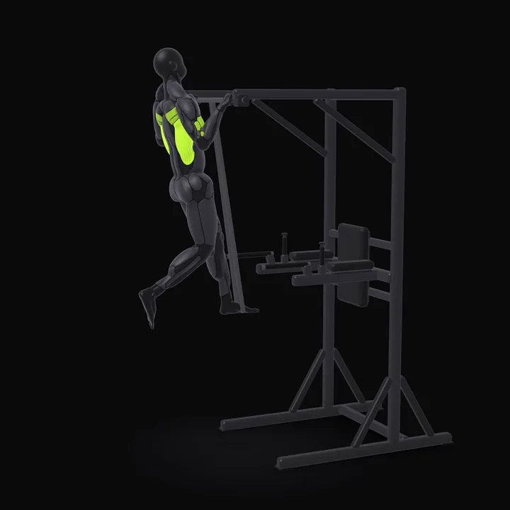 3D animation of the Band-assisted Pull-up