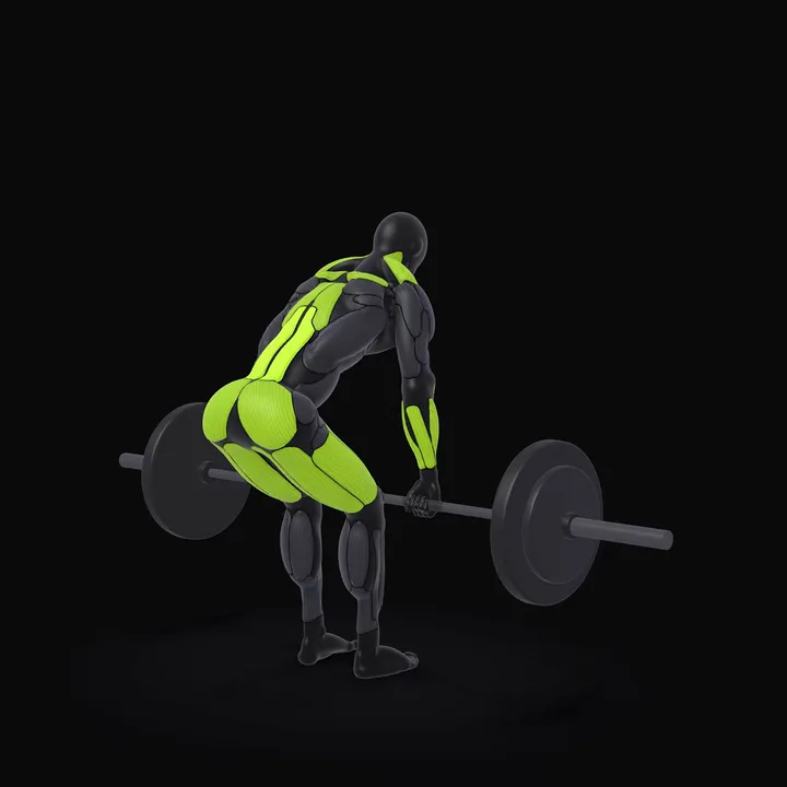 Animation 3D : Soulevé de terre à la barre