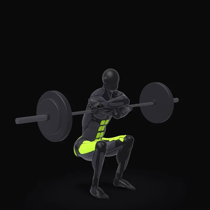Animation 3D : Squat avant à la barre