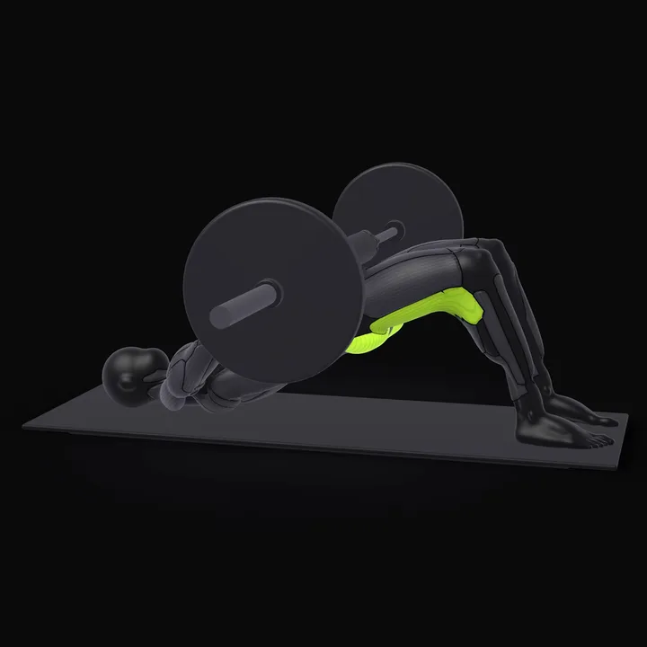 3D animation of the Barbell Glute Bridge