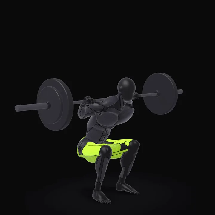 Animation 3D : Squat avec pause à la barre