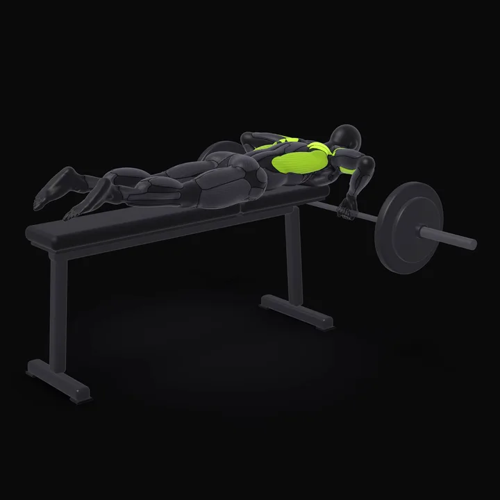 3D animation of the Barbell Seal Row