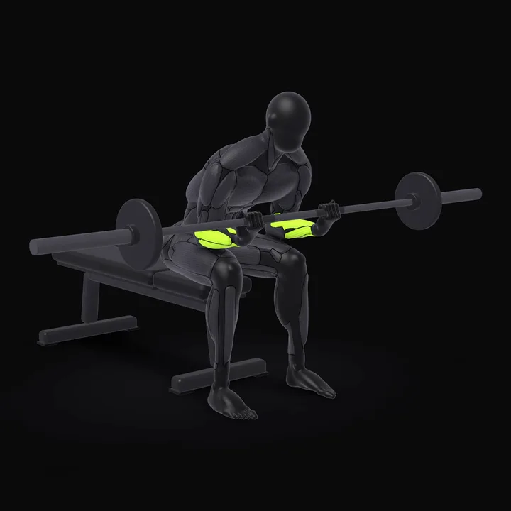 Animation 3D : Curl poignets à la barre