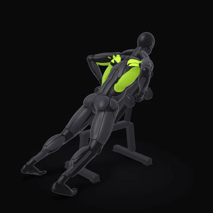 3D animation of the Dumbbell Chest-supported Row