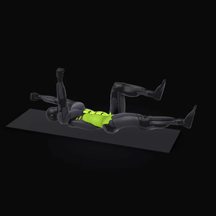 Animation 3D : Dead bug