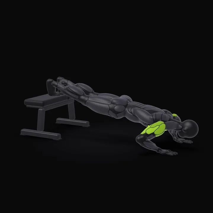 3D animation of the Decline Push-up