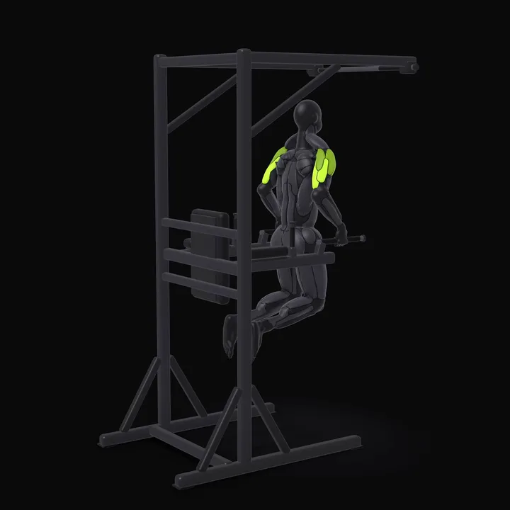 Animation 3D : Dips triceps