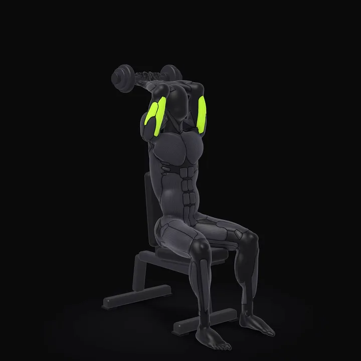 Animation 3D : Extension triceps nuque avec haltère