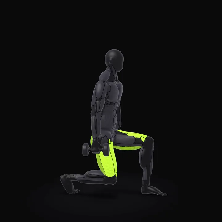 Animation 3D : Fentes arrière avec haltères