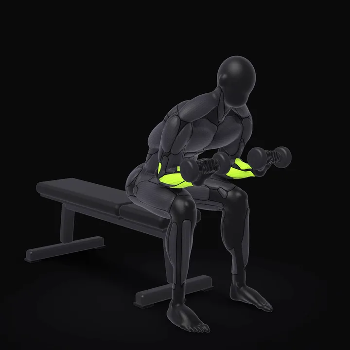 3D animation of the Dumbbell Reverse Wrist Curl