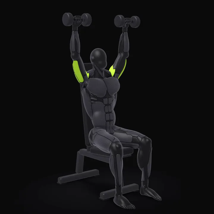 3D animation of the Dumbbell Shoulder Press