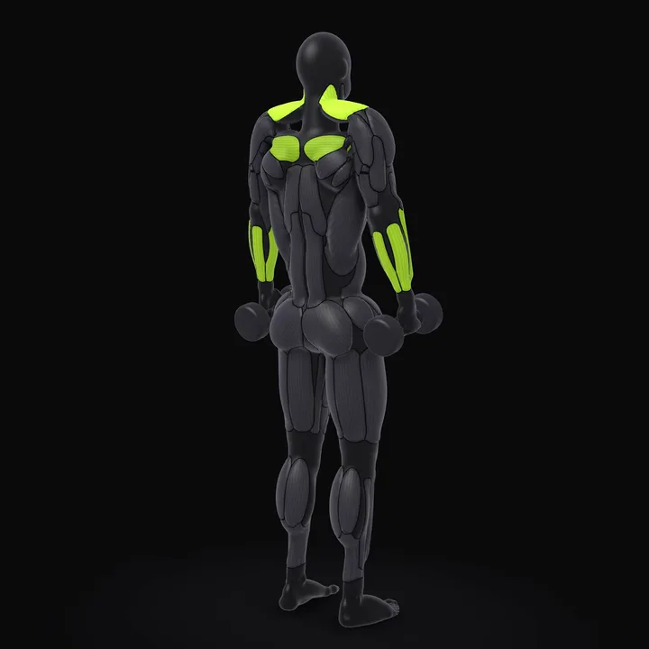 Animation 3D : Shrugs avec haltères