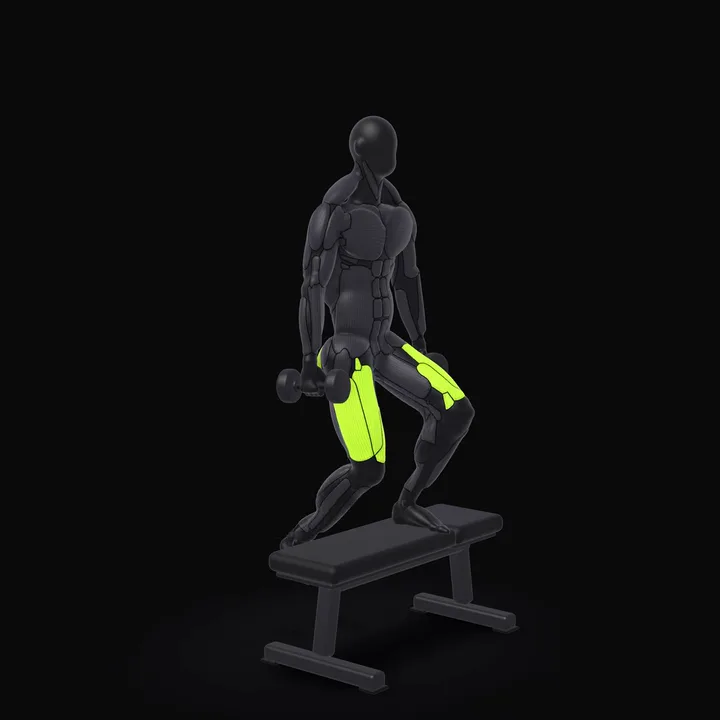 Animation 3D : Step-up avec haltères