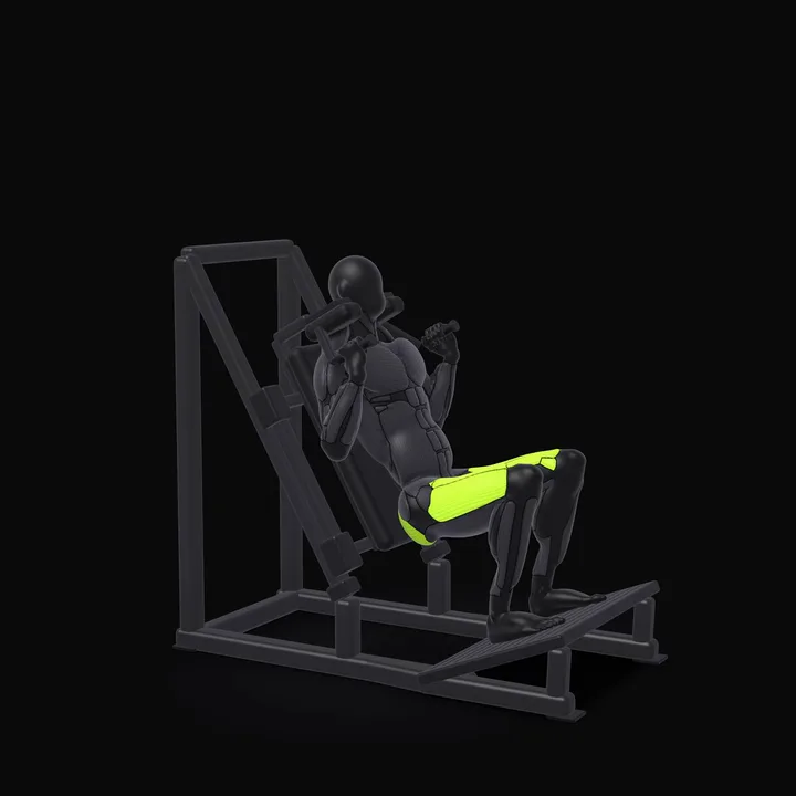 Animation 3D : Hack squat