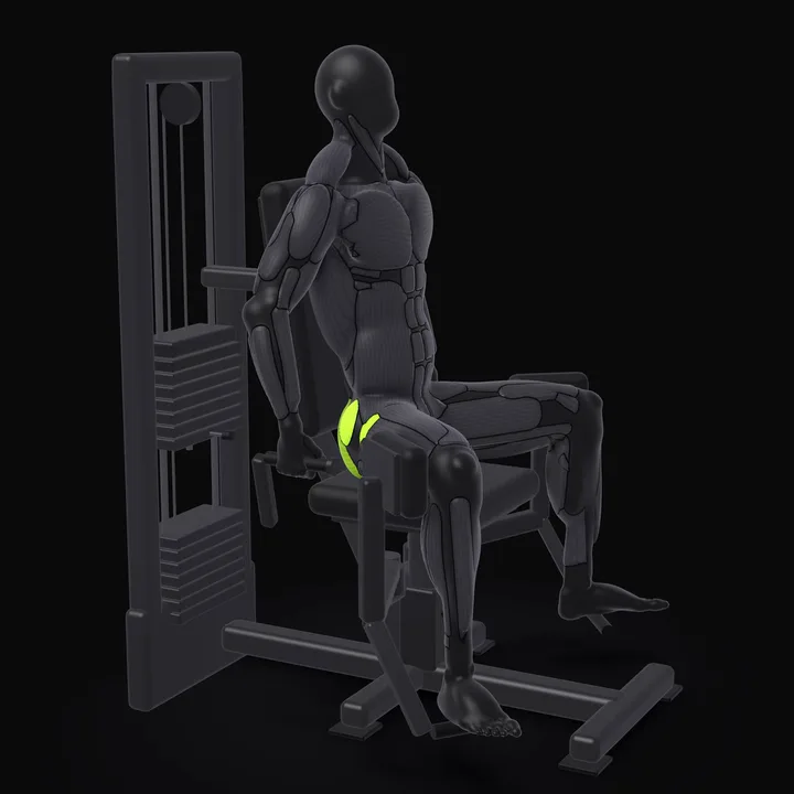 Animation 3D : Abducteurs à la machine