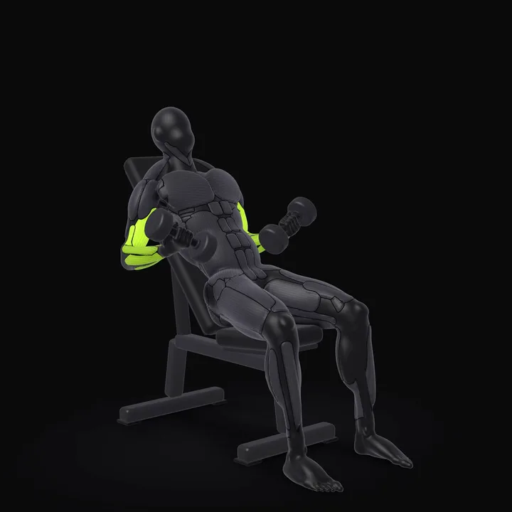 Animation 3D : Curl incliné avec haltères