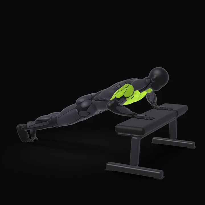 3D animation of the Incline Push-up