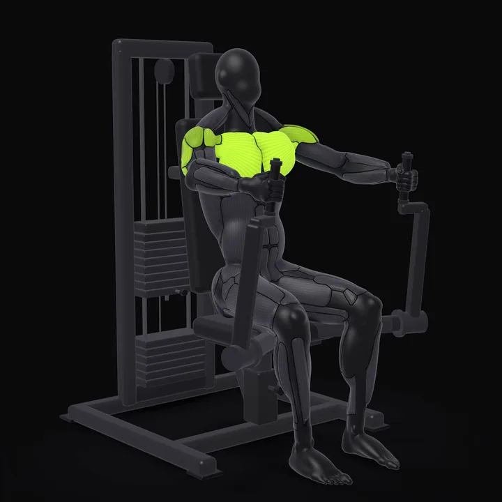 Animation 3D : Développé pectoral à la machine