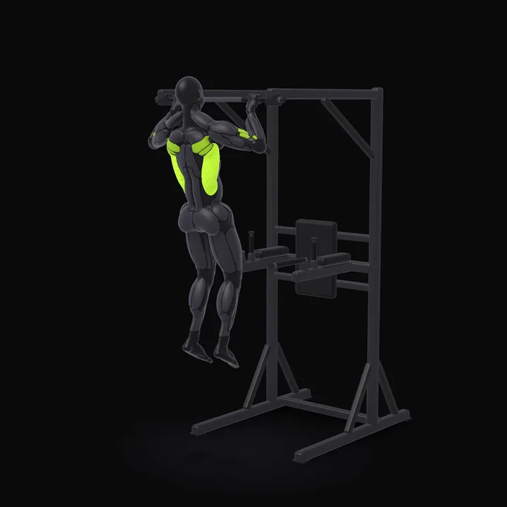 3D animation of the Negative Pull-up