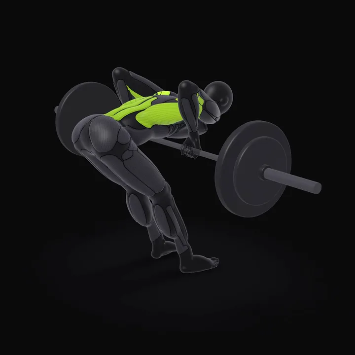 3D animation of the Barbell Pendlay Row