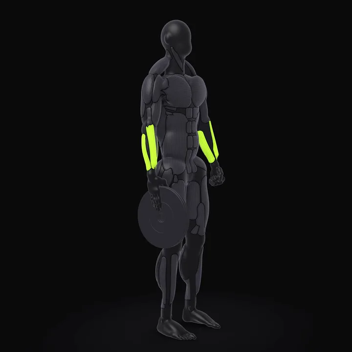 3D animation of the Plate Pinch Hold