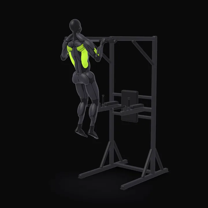 3D animation of the Pull-up