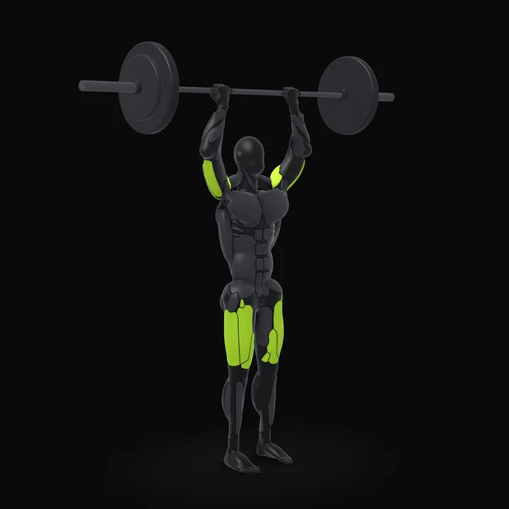 3D animation of the Barbell Push Press