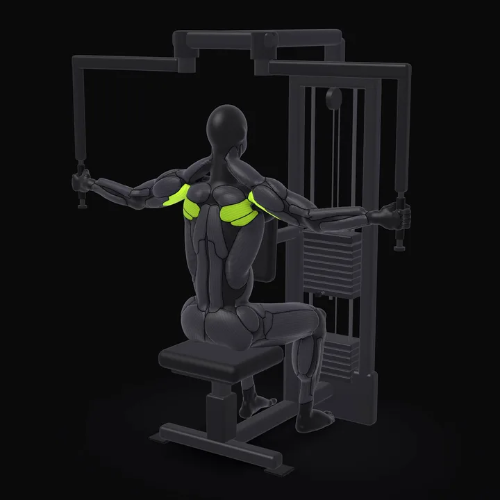 Animation 3D : Oiseau à la machine