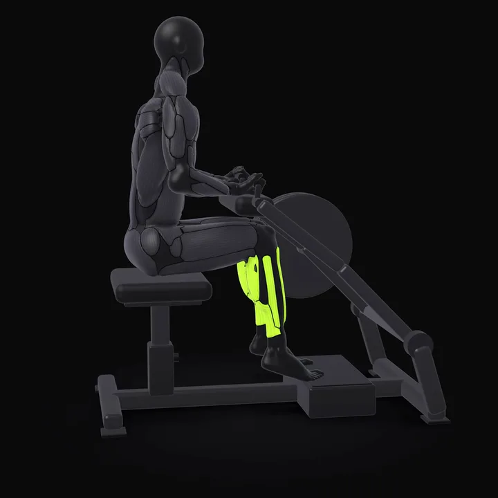 3D animation of the Machine Seated Calf Raise