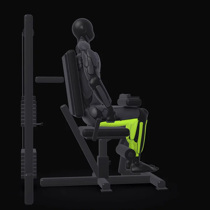 Animation 3D : Leg curl assis