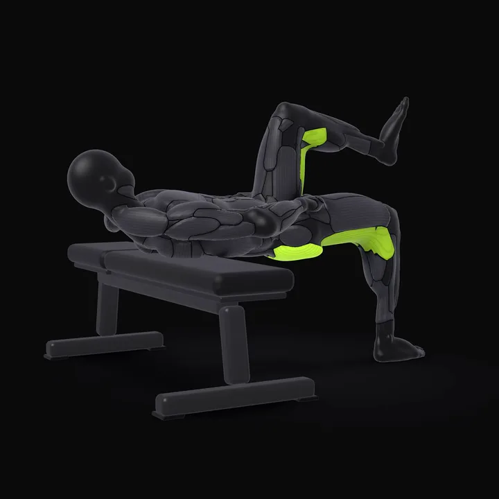 3D animation of the Single-leg Hip Thrust