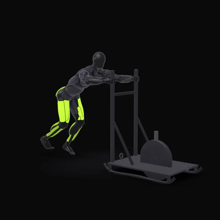 Animation 3D : Poussée de traîneau