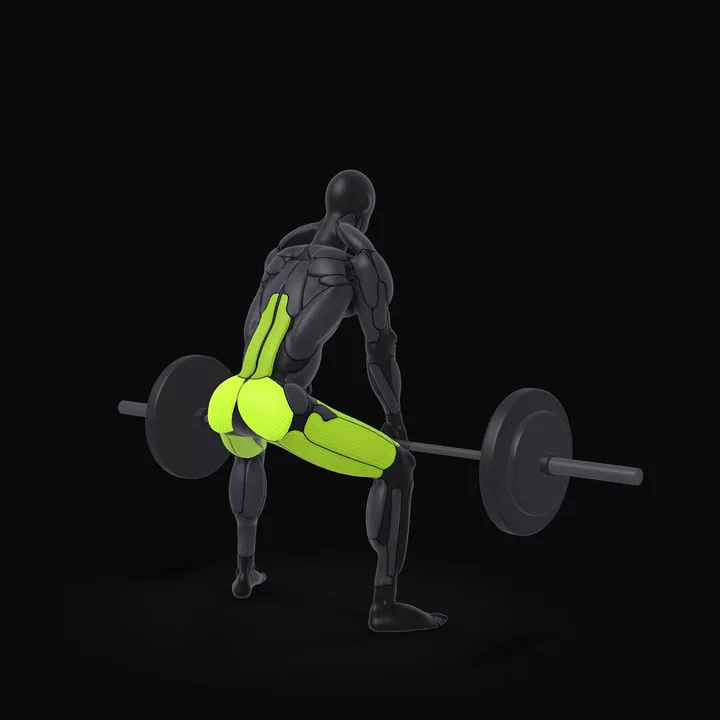 Animation 3D : Soulevé de terre sumo à la barre