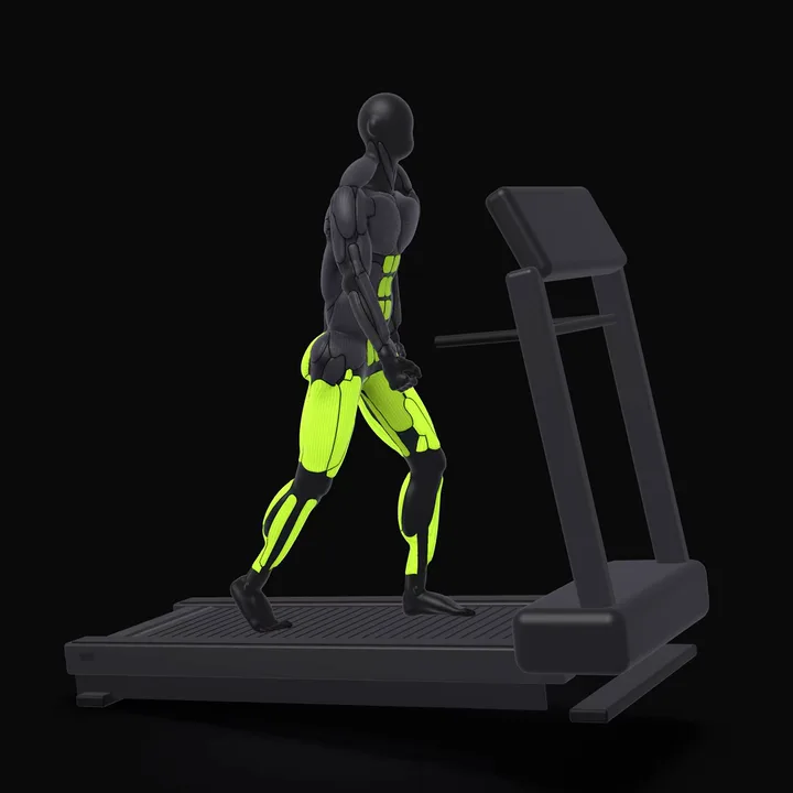 3D animation of the Treadmill Incline Walk