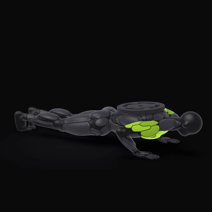 Animation 3D : Pompes lestées