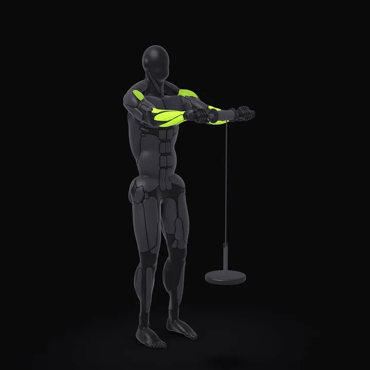 3D animation of the Wrist Roller